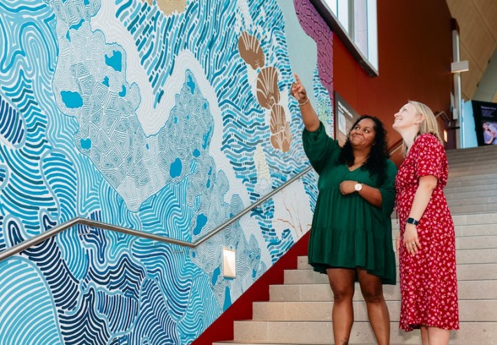 museum of tropical queensland artwork