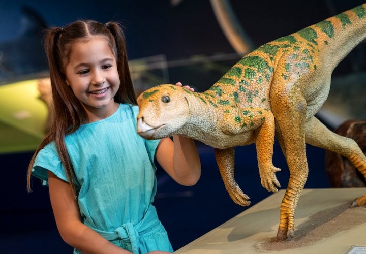 museum of tropical queensland dinosaur