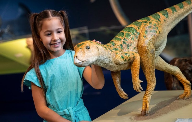 museum of tropical queensland dinosaur