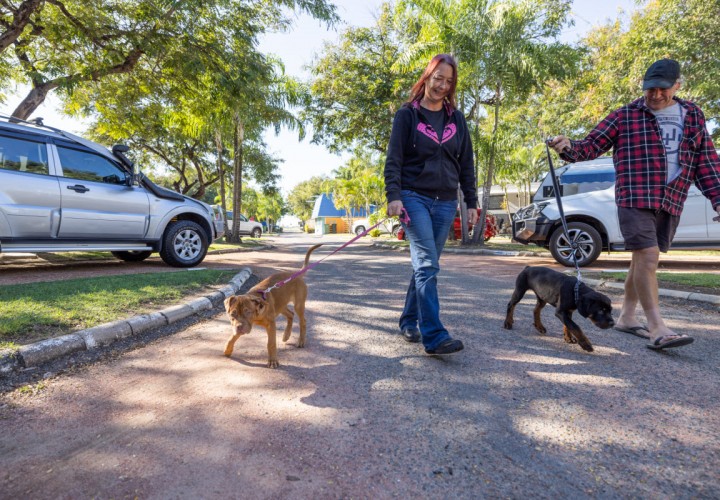 Pet Friendly 1200px 01