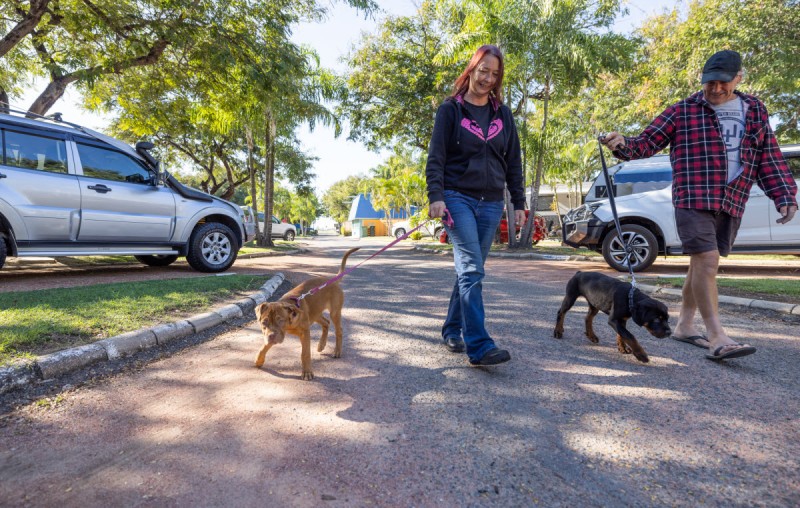 Pet Friendly 1200px 01