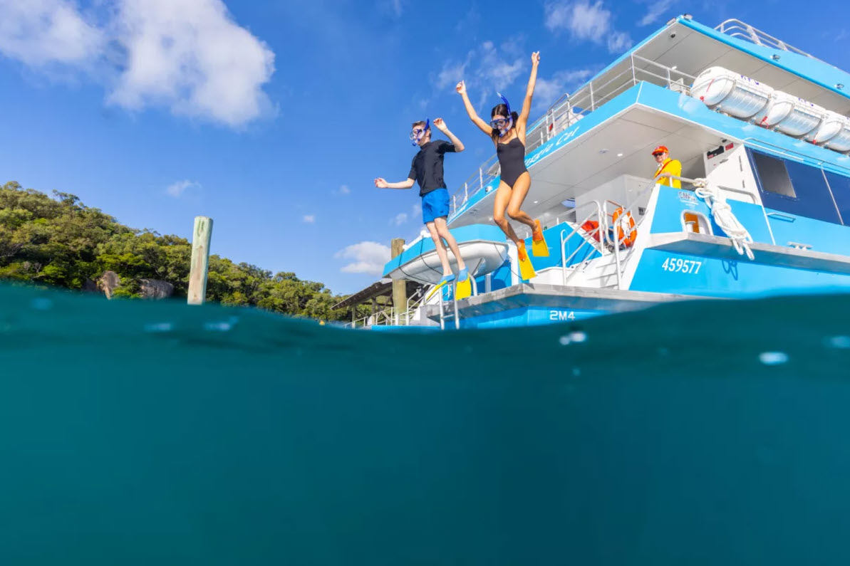 snorkelling sealink